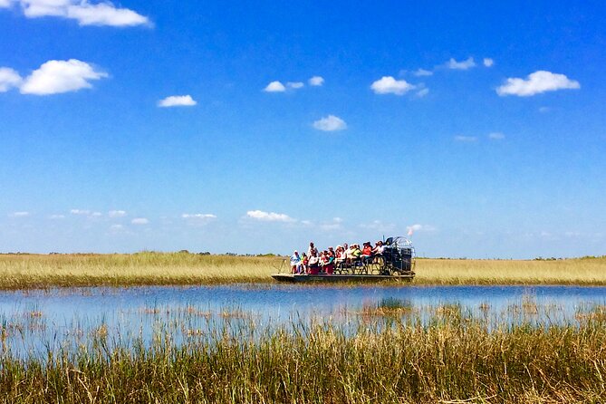 Miami / Port: Everglades Airboat Wildlife Experience - What This Everglades Trip Really Includes