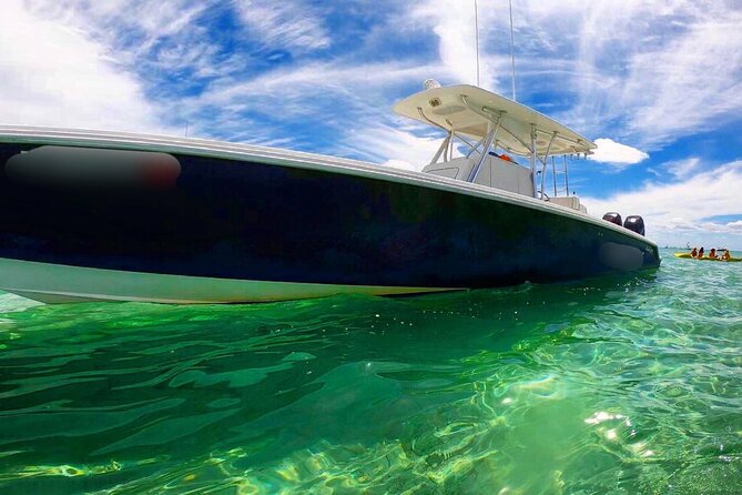 Miami Private Boat Rental to Sandbars and More - Looking for dolphins, manatees, and fish