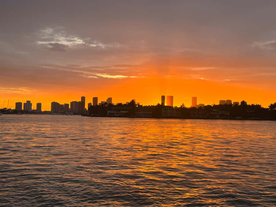 Miami: Private Boat Tour with Captain and Skyline Views - A private boat gives Miami a different rhythm