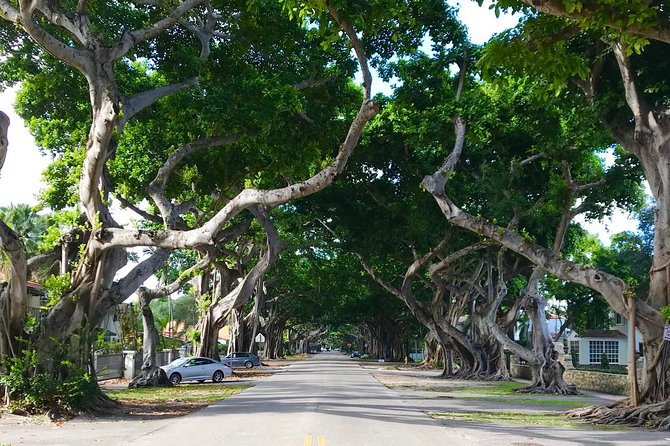 Miami Private City Tour Off The Beaten Path - Starting at the Southern End of Miami Beach