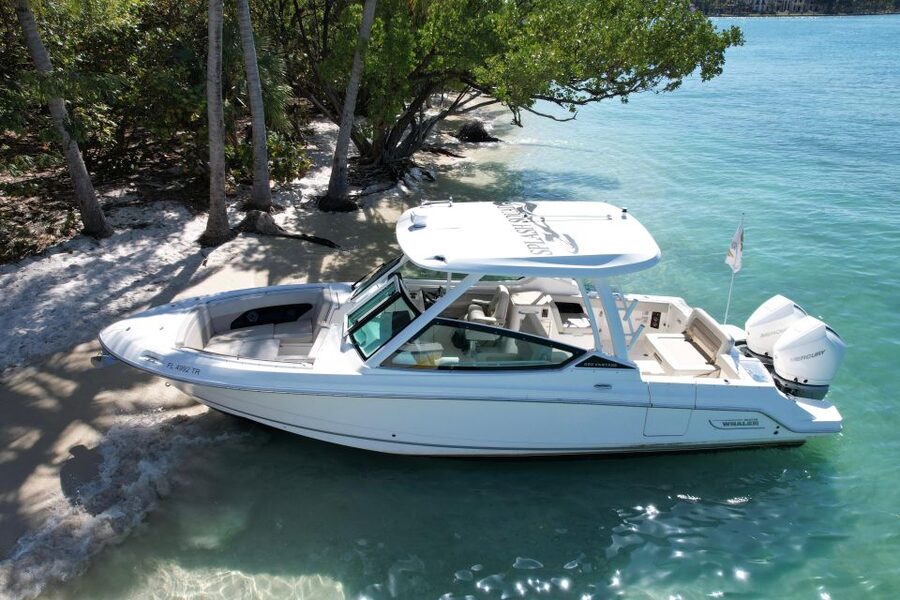 Miami: Private Star island, Miami Skyline & Miami River Tour - Circling Star Island and its grand homes