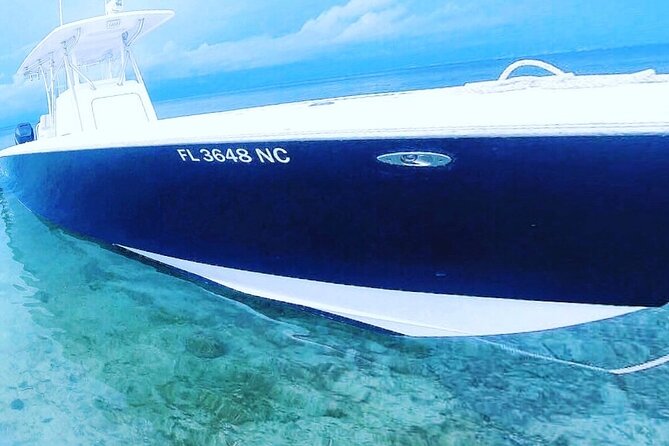Miami Private Yacht Rental with Captain - Marine life in Biscayne Bay