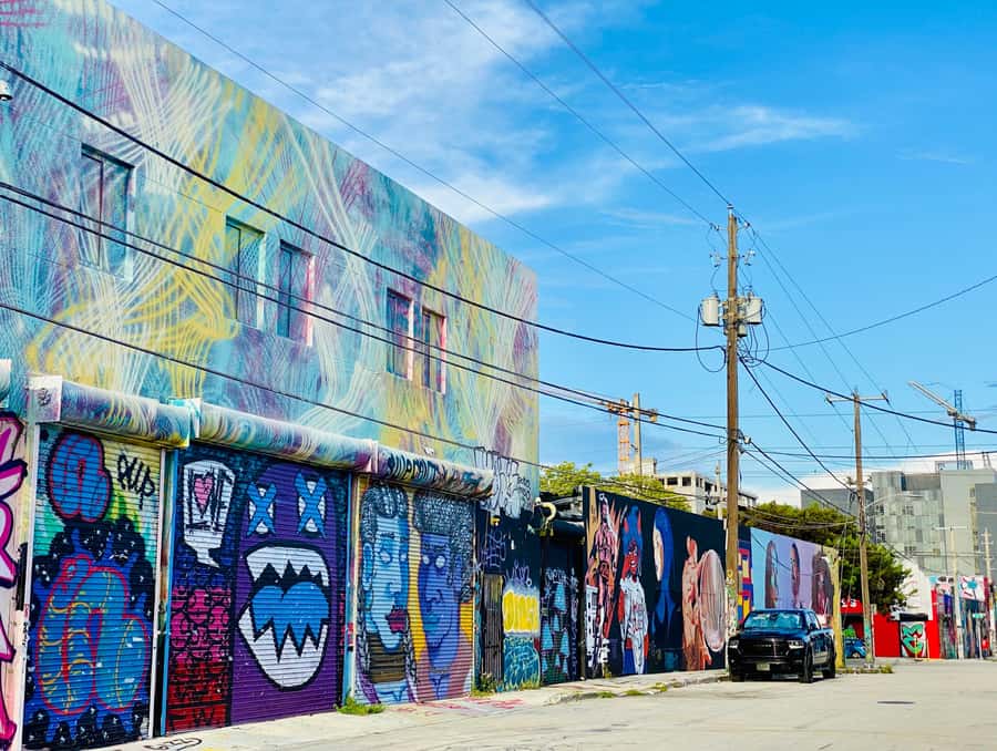 Miami's 3 iconic neighborhoods in 3.5h - in French - Should you book it?