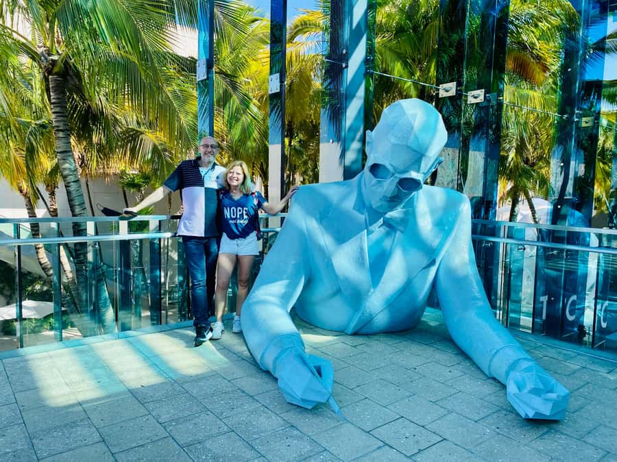 Miami's 3 iconic neighborhoods in 3.5h - in French - Taxi transfer to the Design District