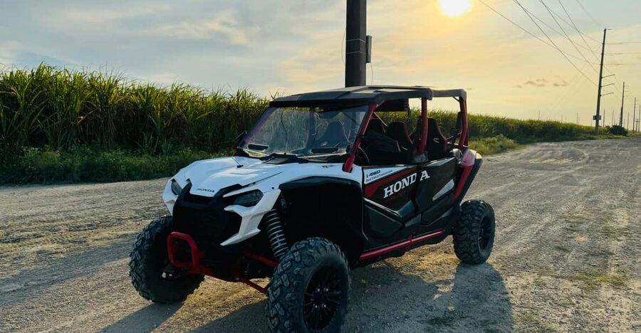 Miami's Ultimate Buggy Adventure on a Honda Talon UTV - A Honda Talon, Four Seats, and Your Own Steering Wheel