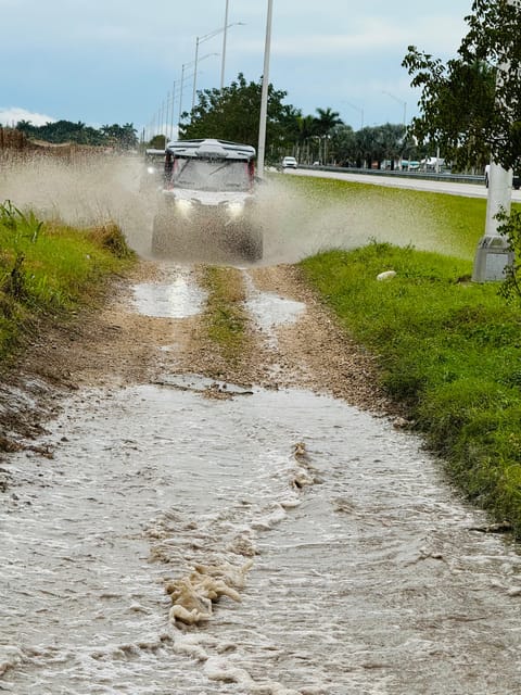 Miami's Ultimate Buggy Adventure on a Honda Talon UTV - The Sunflower Farm Photo Stop
