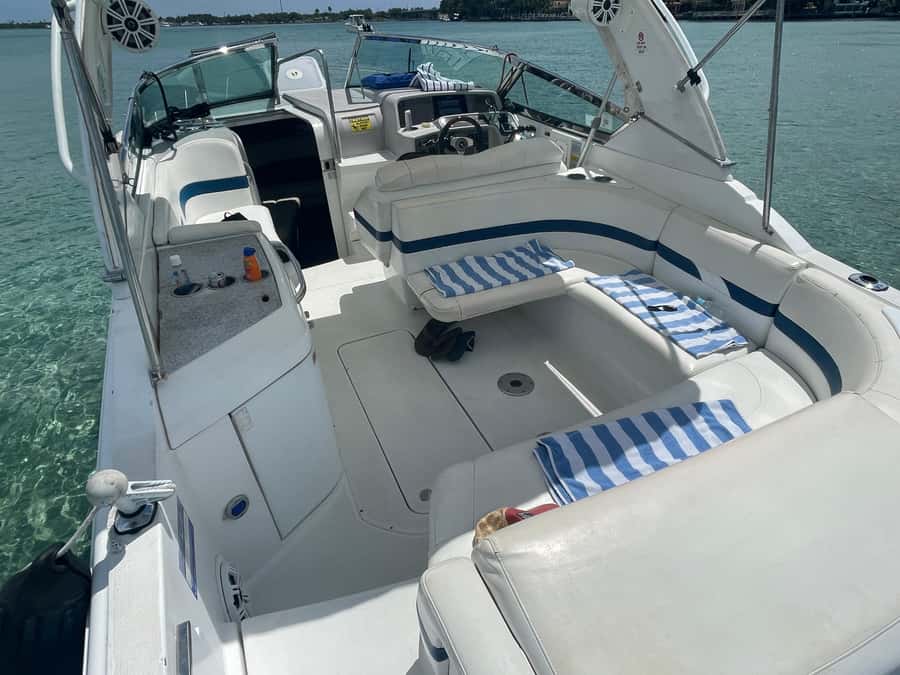 Miami: Sandbar, Billionare's & Raccoon Island Private Tour - Practical packing for a comfortable ride