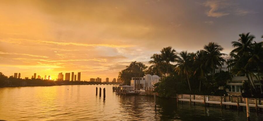 Miami Skyline Sightseeing Cruise and Millionaire Mansions - Key points to know before you board