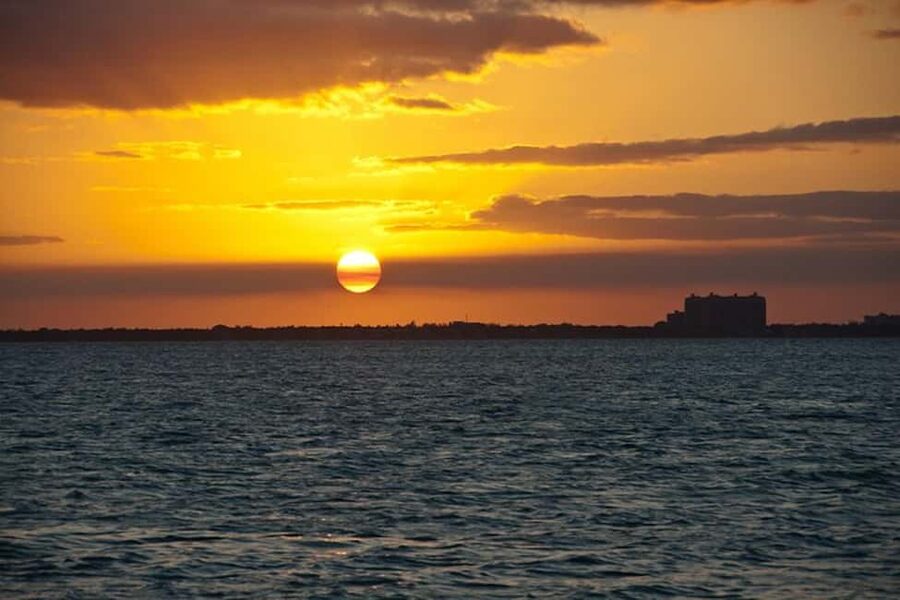 Miami Skyline Sightseeing Cruise and Millionaire Mansions - Why a Biscayne Bay cruise is a smart way to see Miami
