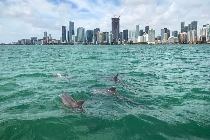 Miami Small Group Boat Tour: History, Wildlife, and Stiltsville - Downtown, the Miami River, and PortMiami