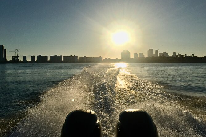 Miami Small Group Boat Tour: History, Wildlife, and Stiltsville - What the guide adds to the experience
