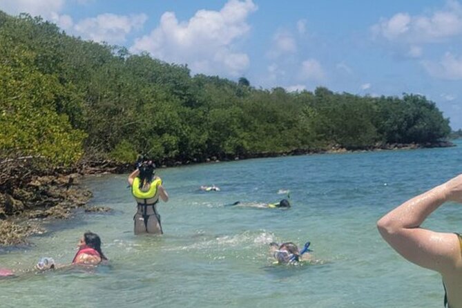 Miami: Snorkeling Adventure in Miami for Beginners Private Yacht - Key Biscayne and the Port of Miami