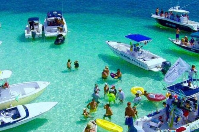 Miami: Snorkeling Adventure in Miami for Beginners Private Yacht - The private island and sandbar stop