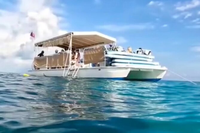 Miami: Snorkeling Experience - What $199.99 per person really buys