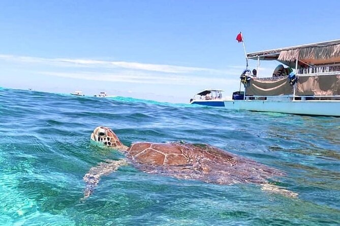 Miami: Snorkeling Experience - Who will enjoy this Miami yacht trip most