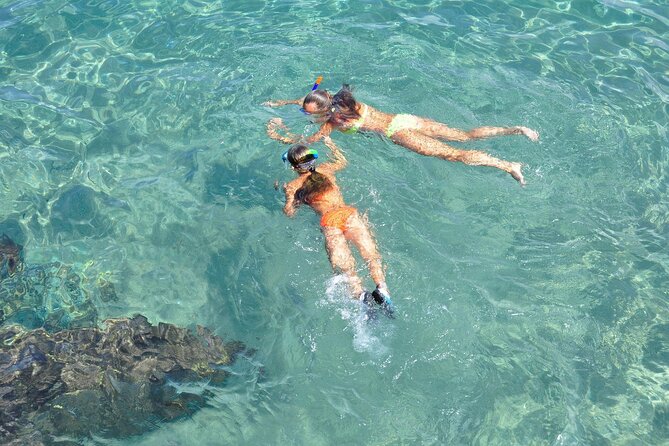Miami: Snorkeling Experience - The sandbar or island stop