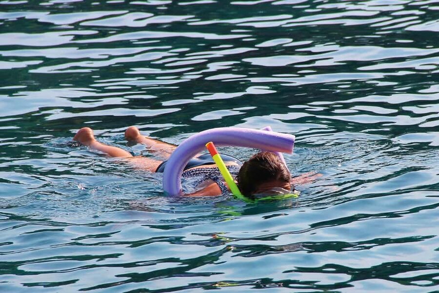 Miami Snorkeling for Beginners from Bayside Market Place - Key points at a glance