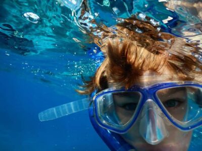 Miami Snorkeling for Beginners from Bayside Market Place