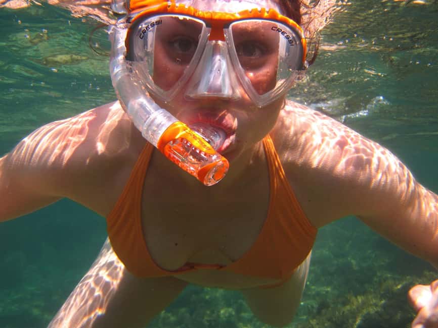 Miami Snorkeling for Beginners from Bayside Market Place - What the crew does well, and what to clarify