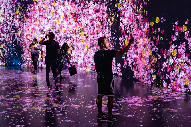 Miami: Superblue Miami Immersive Art Experience Ticket - Key points to know before you go