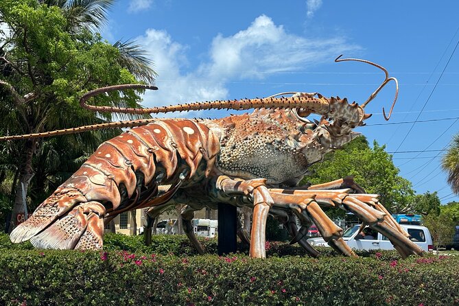 Miami to Key West Bus Tour with Narration - Swimming and water activities