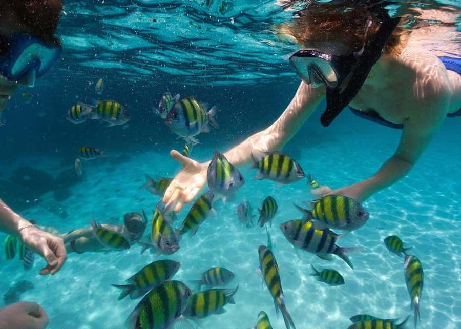 Miami to Key West Day Trip with Optional Activities - Crossing the Florida Keys by coach