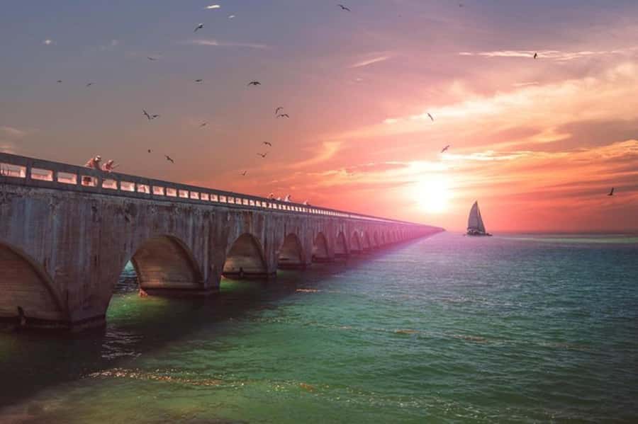 Miami to Key West Day Trip with Optional Activities - Choosing an optional water activity