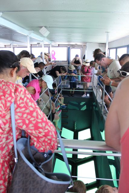 Miami to Key West Shuttle: Dolphin, Snorkeling & More - Food, water, and what to pack