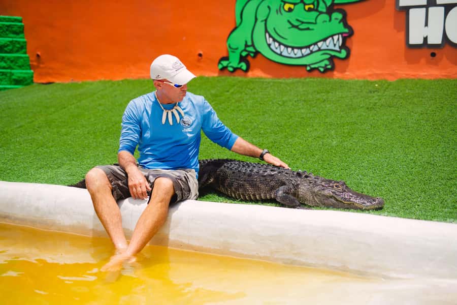 Miami: Wild Everglades Airboat Ride and Gator Encounters - The 40-minute ride to the Everglades