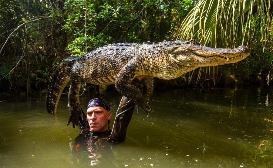 Miami: Wild Everglades Airboat Ride and Gator Encounters - The airboat ride through the marsh