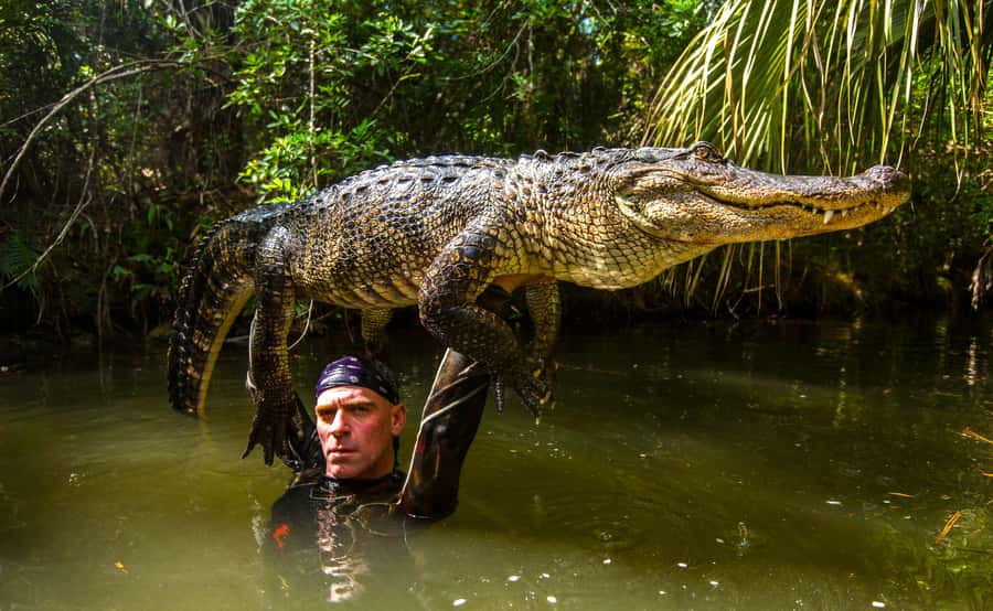 Miami: Wild Everglades Airboat Ride and Gator Encounters - English and Spanish support