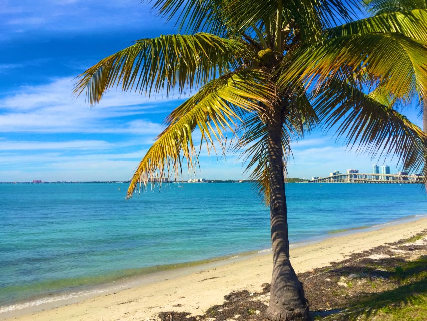 Miami: Windsurfing for Beginners and Experts - Key Biscayne makes a smart learning spot