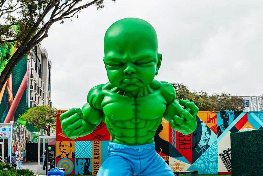 Miami: Wynwood Walls, Galleries, and Murals Guided Tour - The stories behind the murals