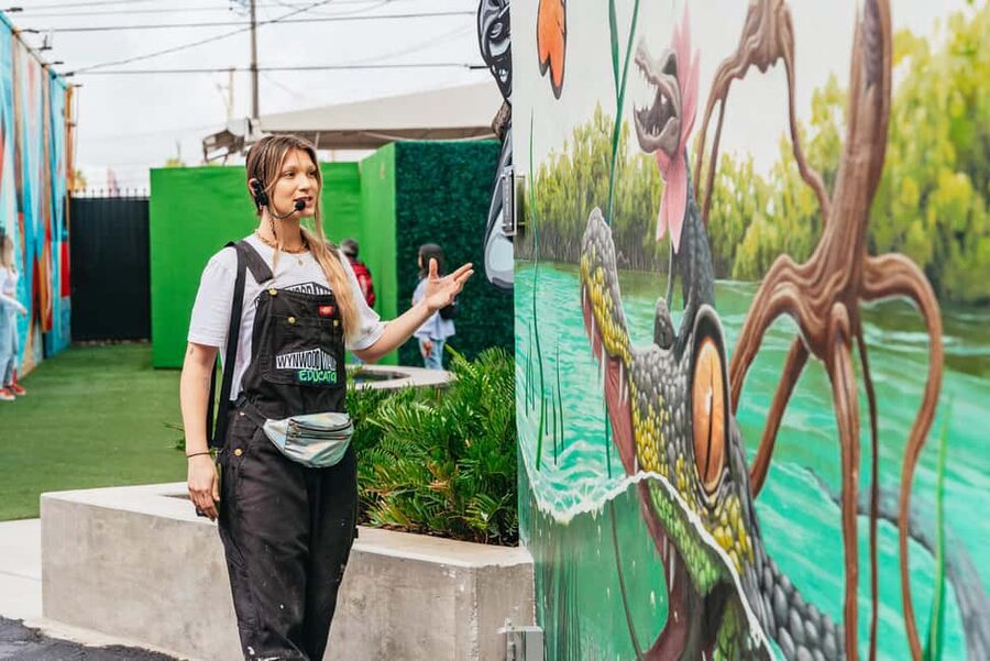 Miami: Wynwood Walls, Galleries, and Murals Guided Tour - Booking advice and the final call