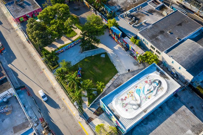 Miami: Wynwood Walls “Inside the Walls” Official Tour - What the guide adds to the murals