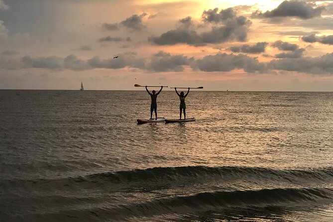 MORNING TOUR PaddleBoard or kayak - A quiet start on Miami Beach