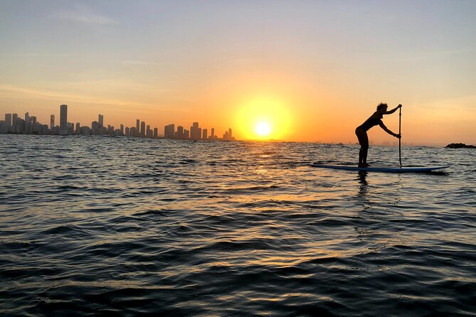 MORNING TOUR PaddleBoard or kayak - Choosing a paddleboard or kayak
