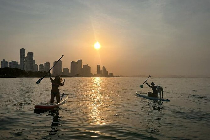 MORNING TOUR PaddleBoard or kayak - Flat bay water and coastal views
