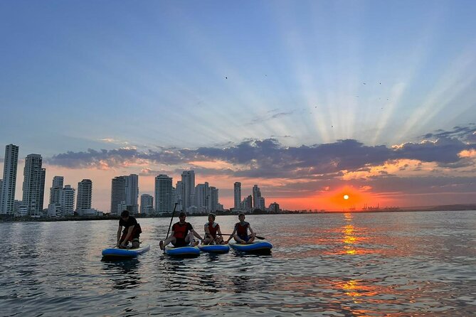 MORNING TOUR PaddleBoard or kayak - Safety, swimming, and the right level of confidence