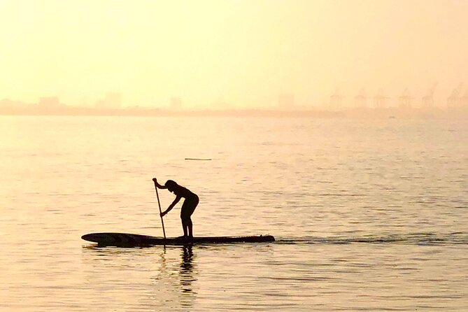 MORNING TOUR PaddleBoard or kayak - How the morning fits into your Miami plans