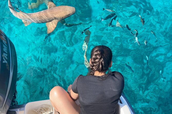 Multi-Activity Private Charter Boat in Key largo - Key points to know before booking