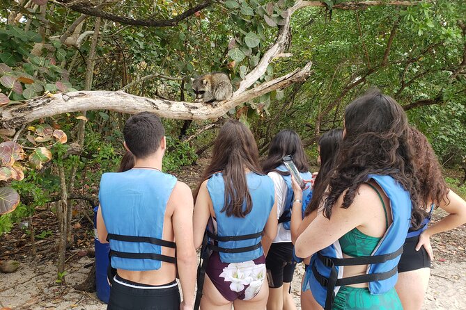 Nature & Island Exploration on SUP/Kayak - From Venetian Marina to the mangrove channels