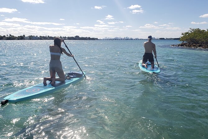 Nature & Island Exploration on SUP/Kayak - What the mangrove paddle is really like