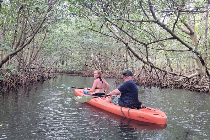 Nature & Island Exploration on SUP/Kayak - Raccoon Island and the closest wildlife encounter
