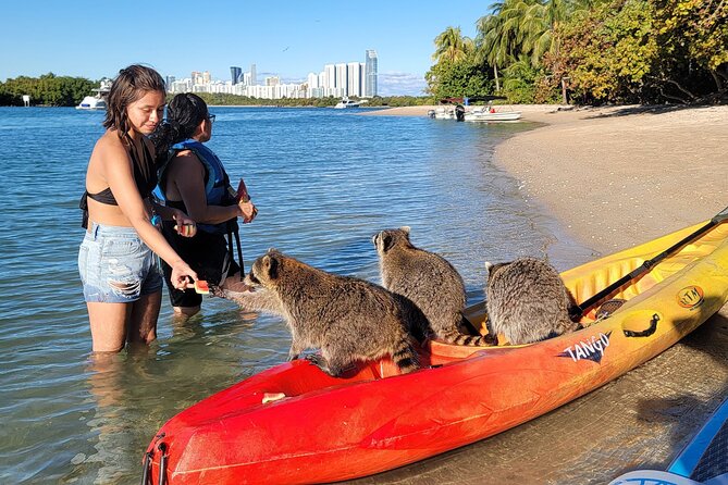 Nature & Island Exploration on SUP/Kayak - Dolphins, manatees, birds, and realistic expectations