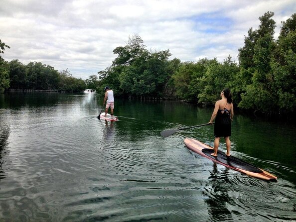 Nature Stand Up Paddle Boarding Experience in Miami - Key points to know before you book