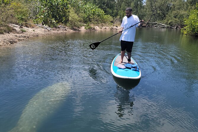 Nature Stand Up Paddle Boarding Experience in Miami - Into the mangrove canals