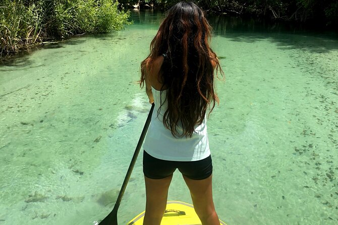 Nature Stand Up Paddle Boarding Experience in Miami - A calm start for first-time paddleboarders
