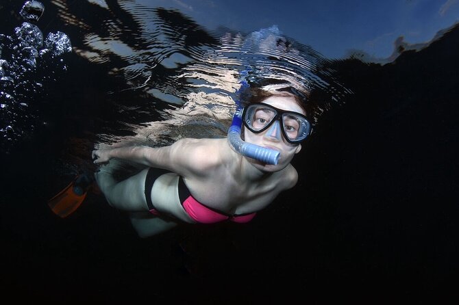 NIGHT TIME Guided Snorkel tour - Key points to know before you book