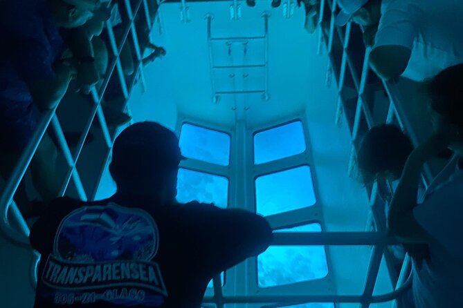 Night Tour Glass Bottom Boat in Islamorada - Key points to know before boarding